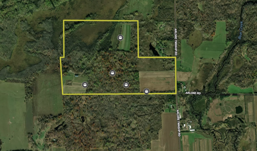 41273 Swede Alley, Hinckley, MN 55037