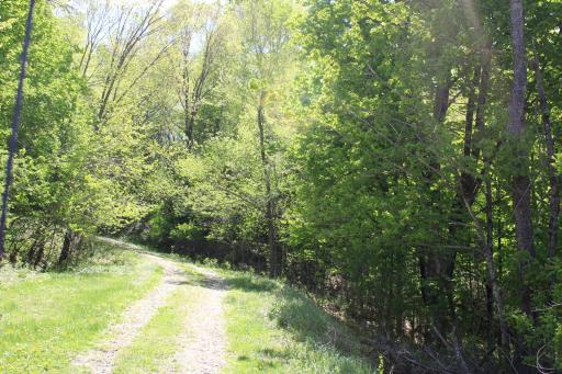 31127 Levi Path, Lake City, MN 55041