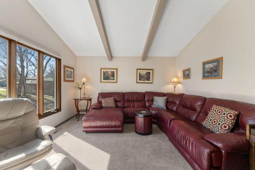 8119 Lower 129th Court, Saint Paul, MN 55124