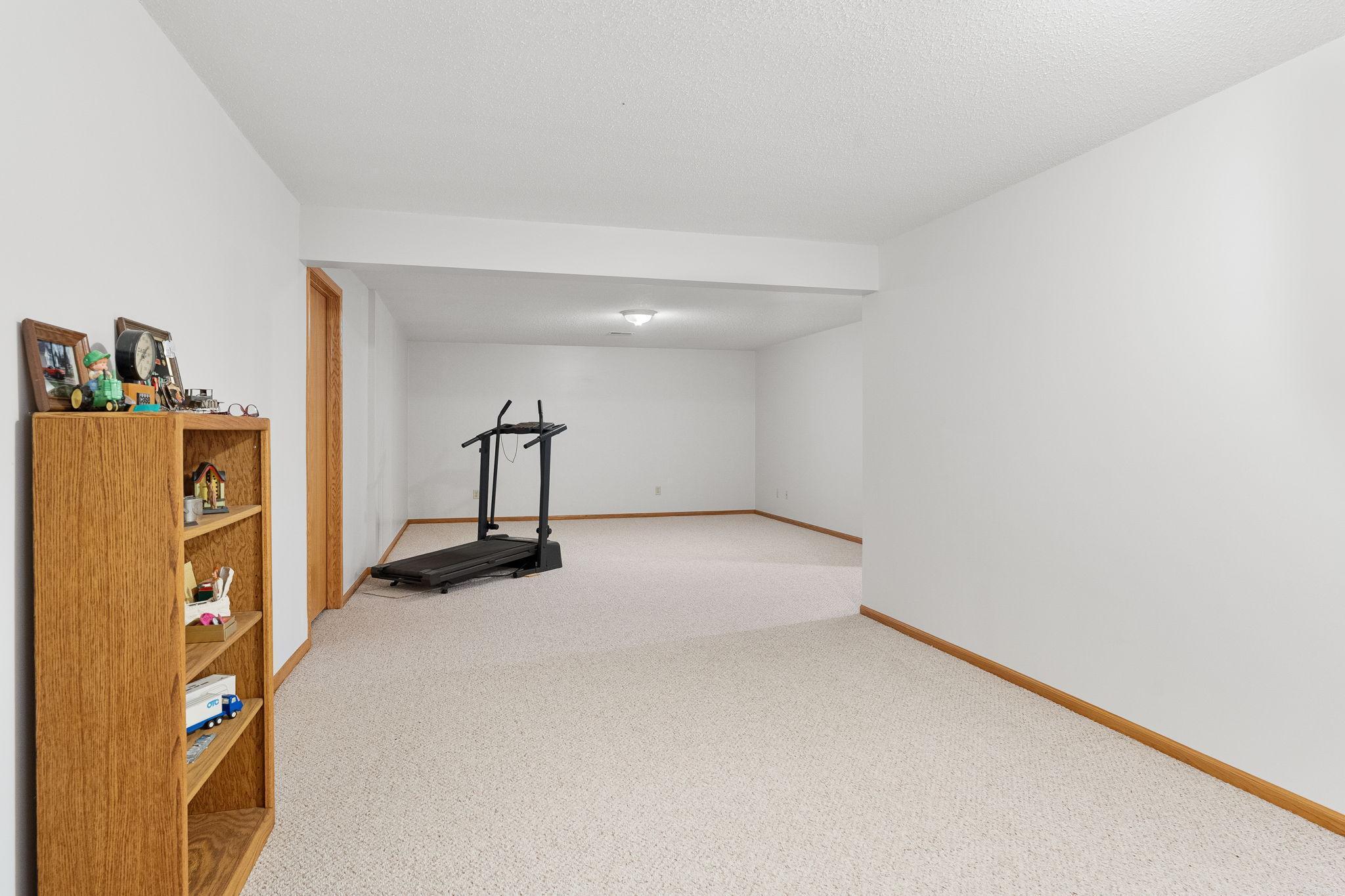 Lower Level Family Room