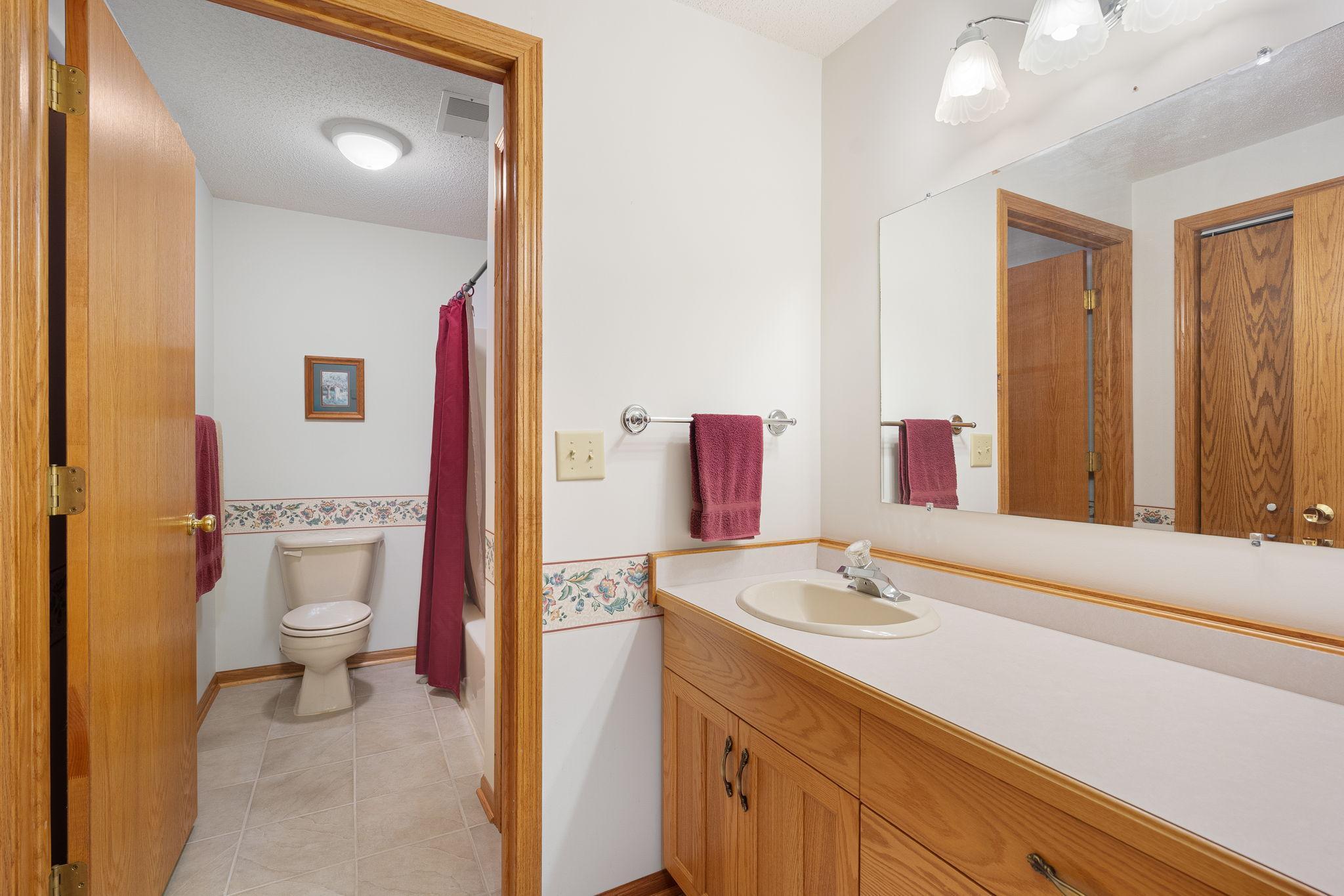 Lower Level Bathroom