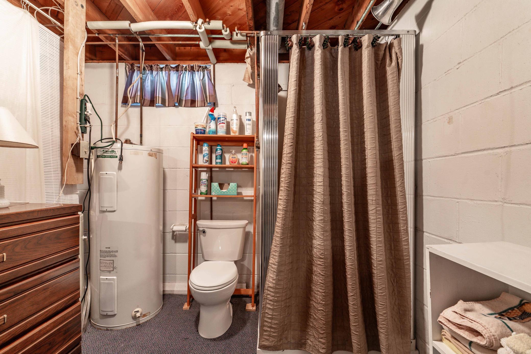 Lower Level Bathroom