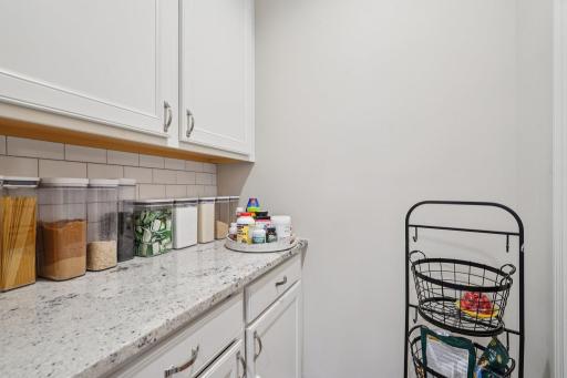 16650 Territorial Trail, Dayton, MN 55369