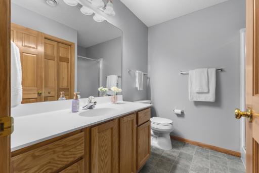 Lower level bathroom with generous vanity space.