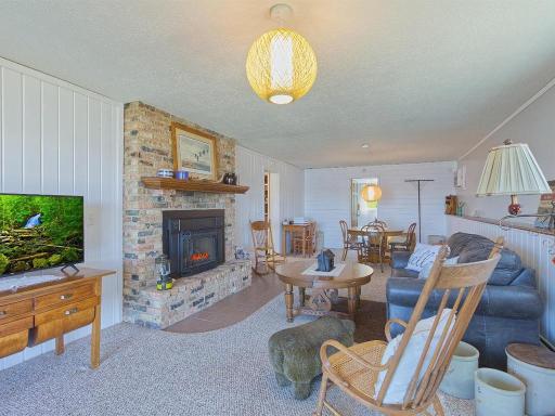 Lower level family/rec room with new gas fireplace