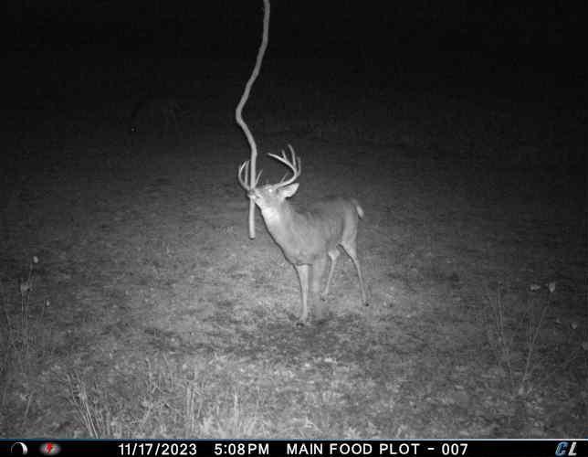 Trail Cam.jpeg