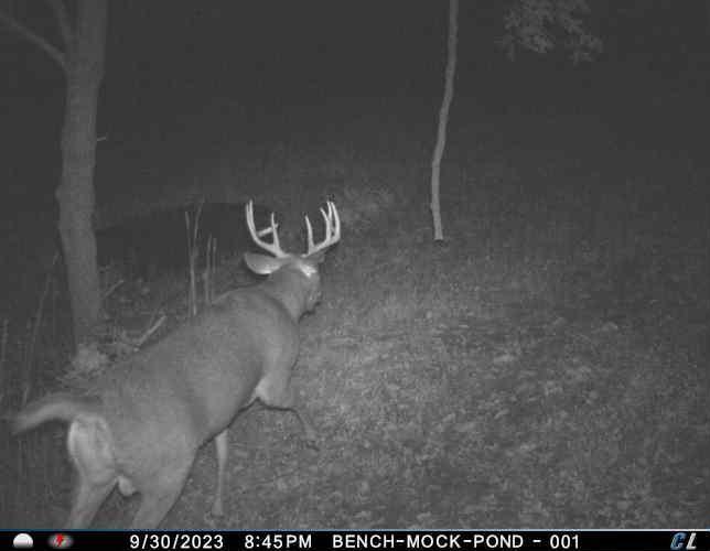 Trail Camera 2.jpeg