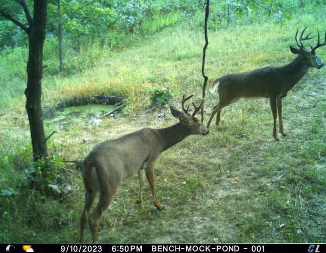 Traili Camera 6.jpeg