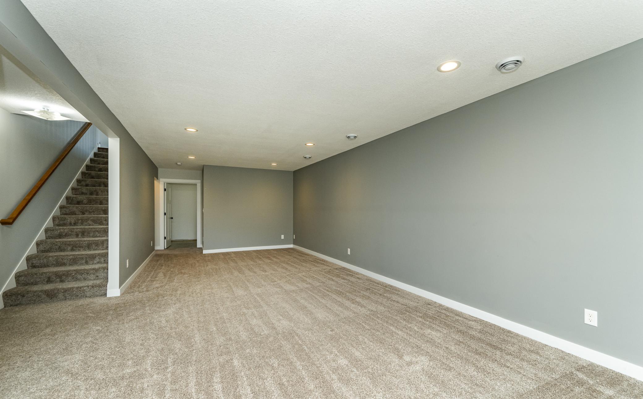 Lower Level Family Room