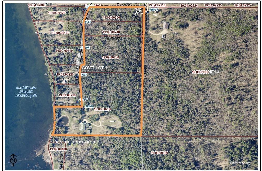 38700 Osprey Trail Aerial.jpg