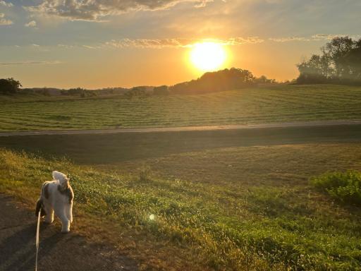 21029 Elks Point Road, Fergus Falls, MN 56537