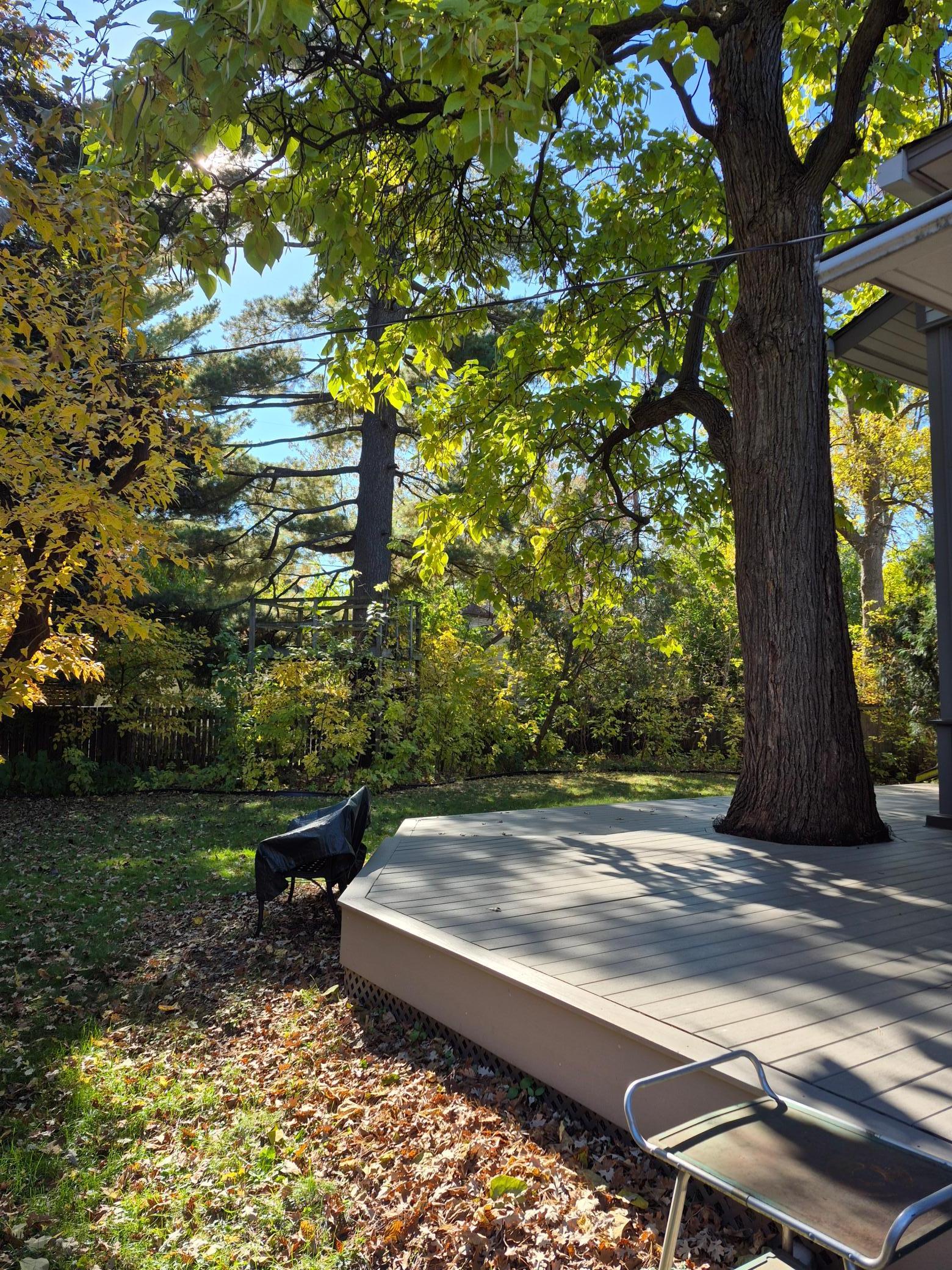 Beautiful Yard! Composite Deck