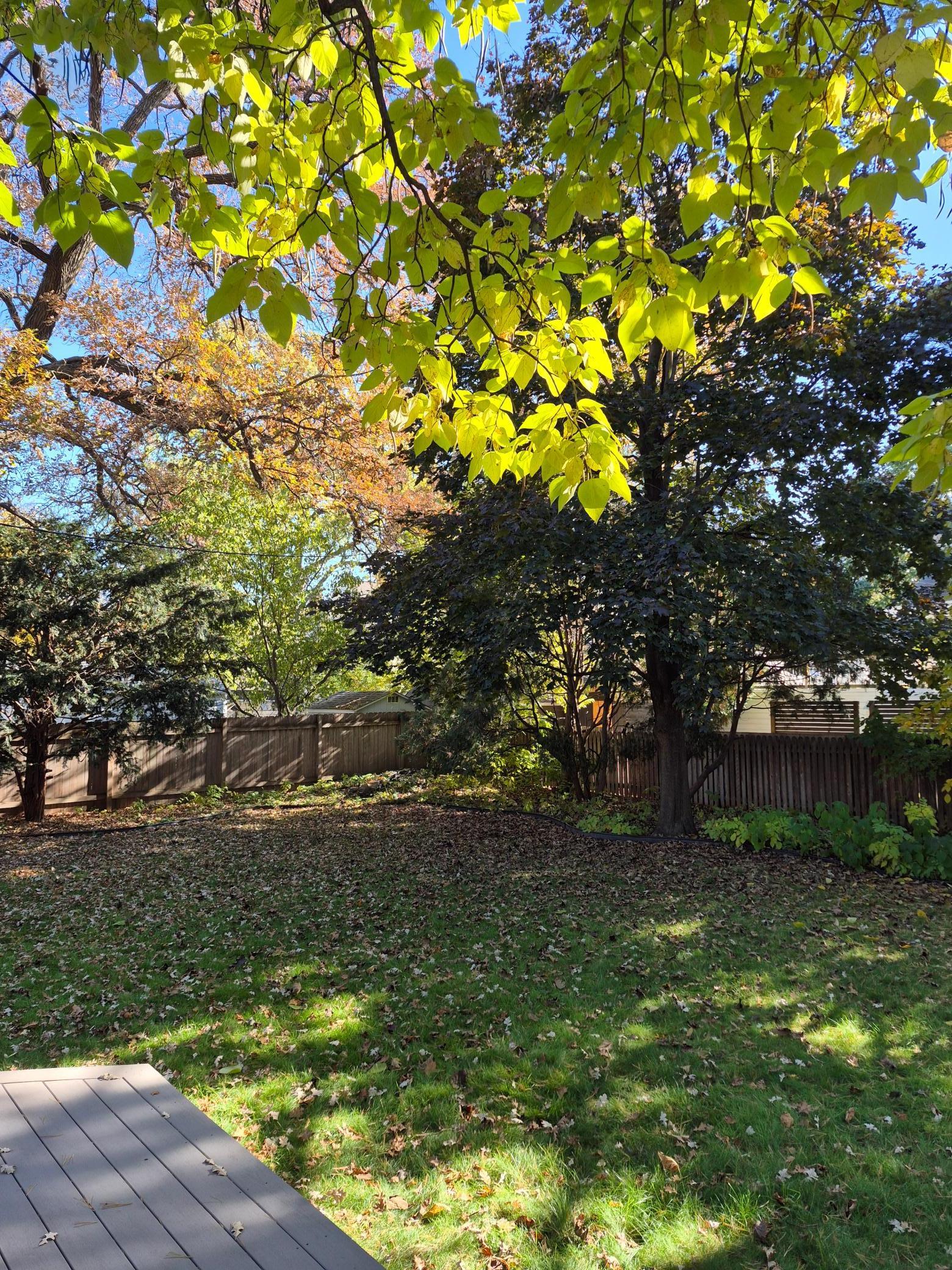 Space for Yard Games!