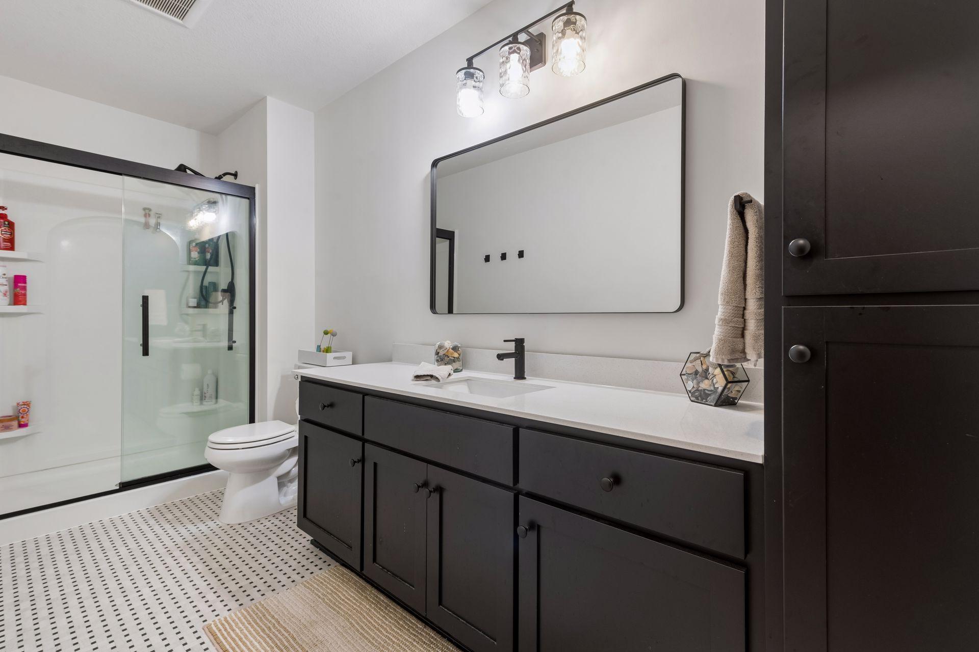 Lower Level Bathroom