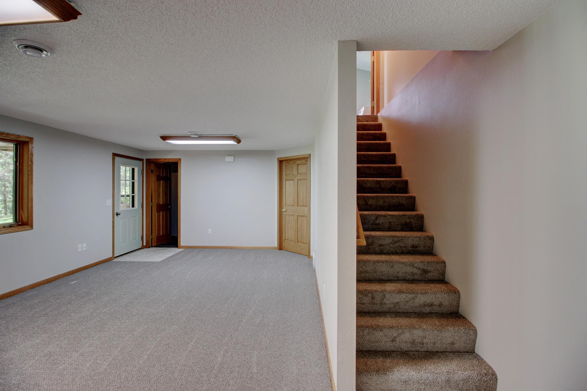 Lower level family room