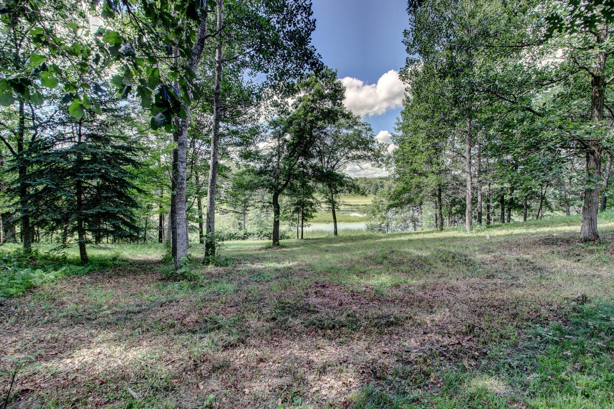 View to Red Wing Pond