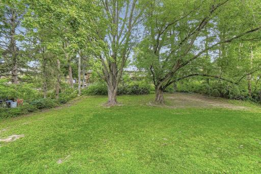 367 Foster St - Web Quality - 030 - 31 Views 1.jpg