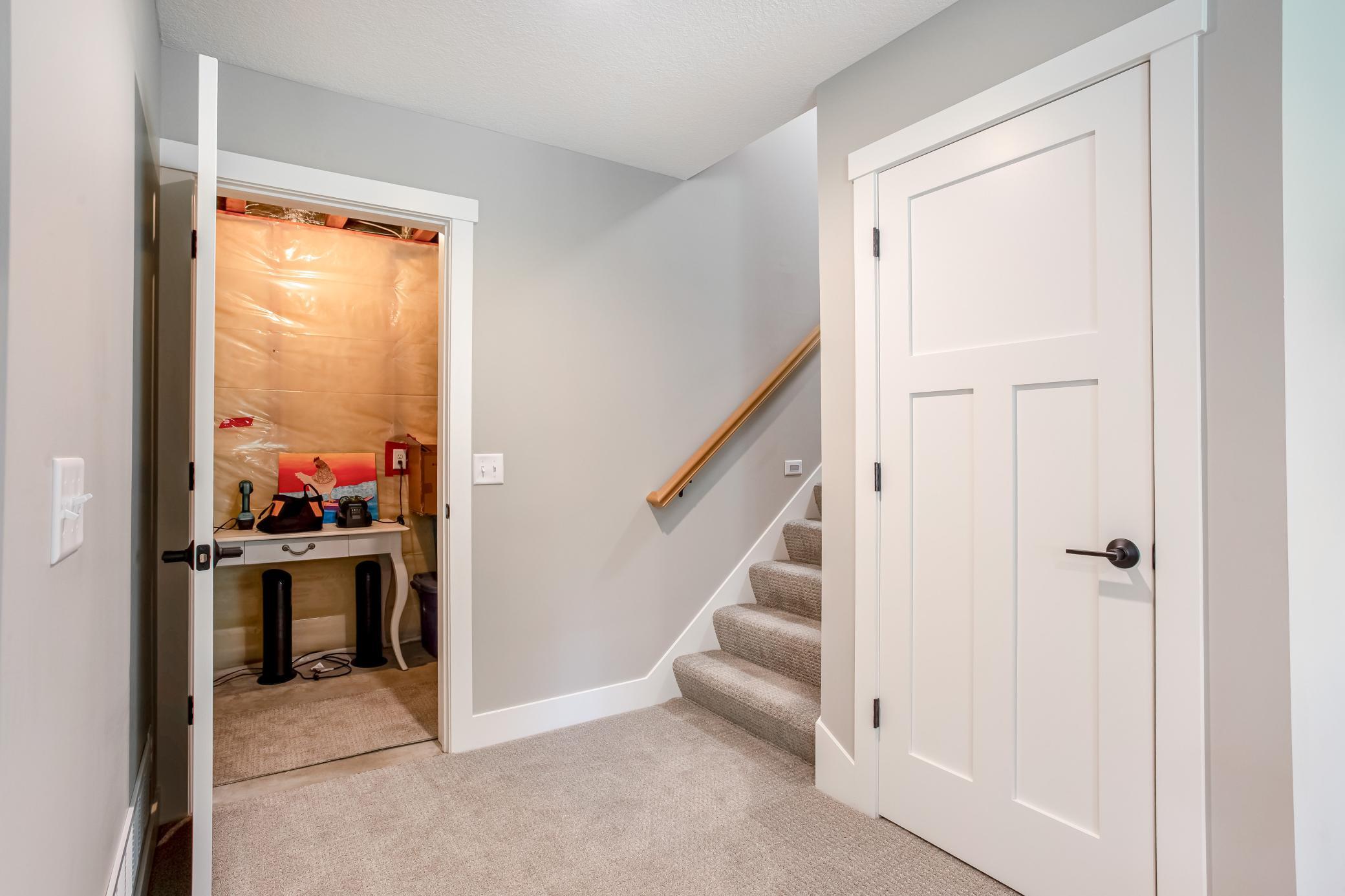 Clean and functional lower-level hallway with modern finishes, plush carpeting, and convenient access to additional storage space.