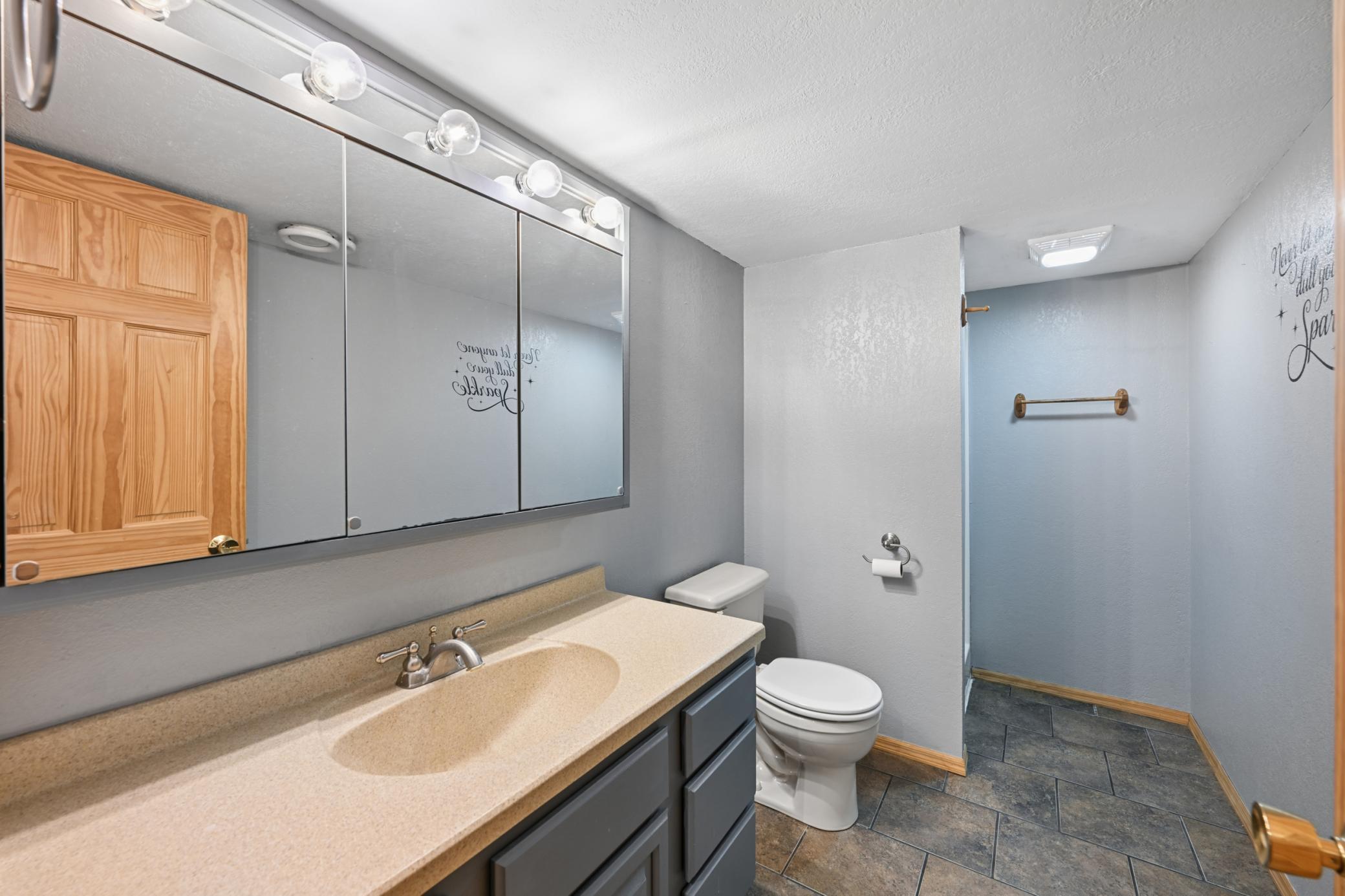 Bathroom #2 in the lower level