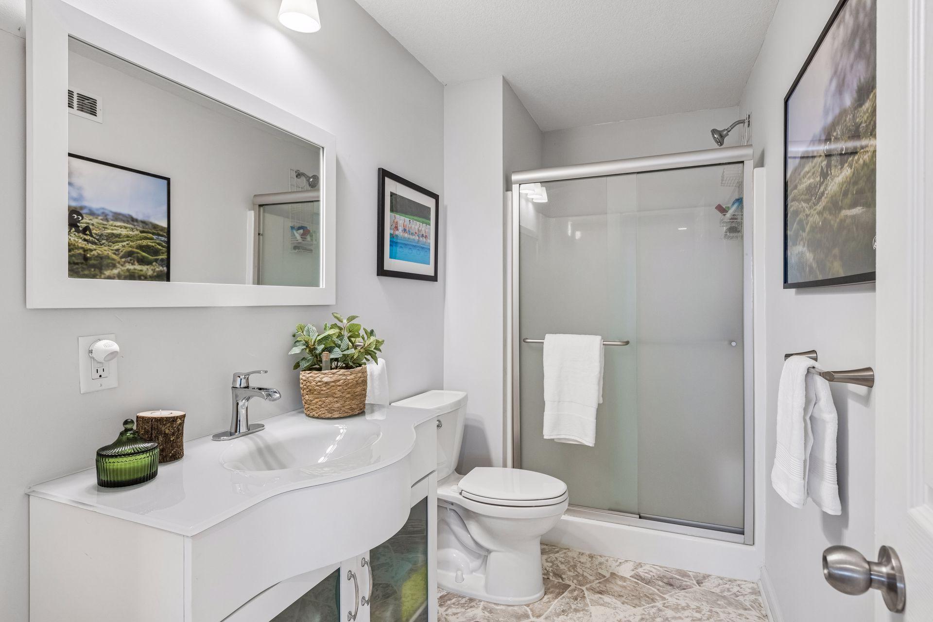 Lower level 3/4 bathroom