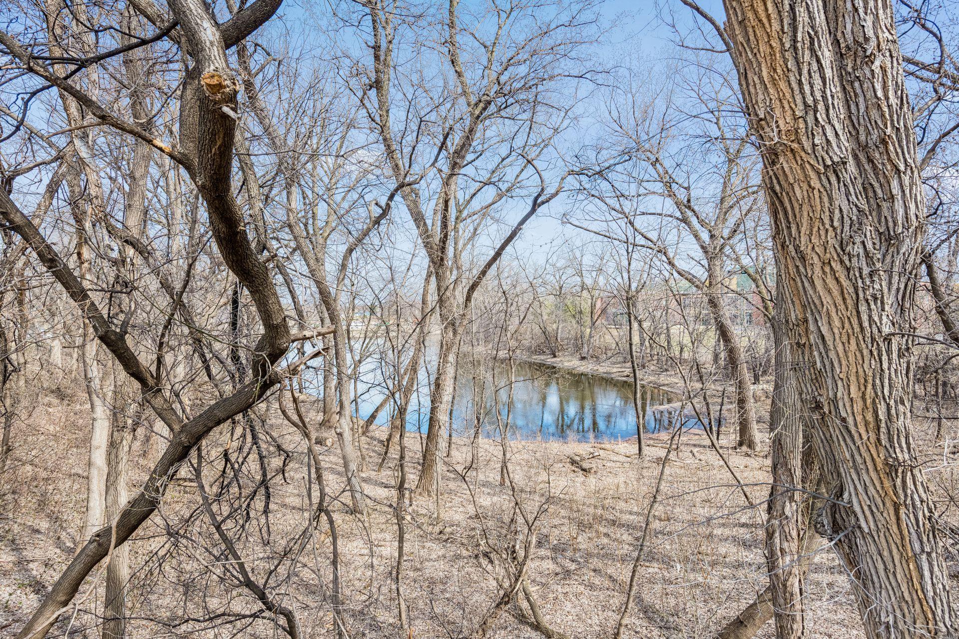 City wetlands to the north.