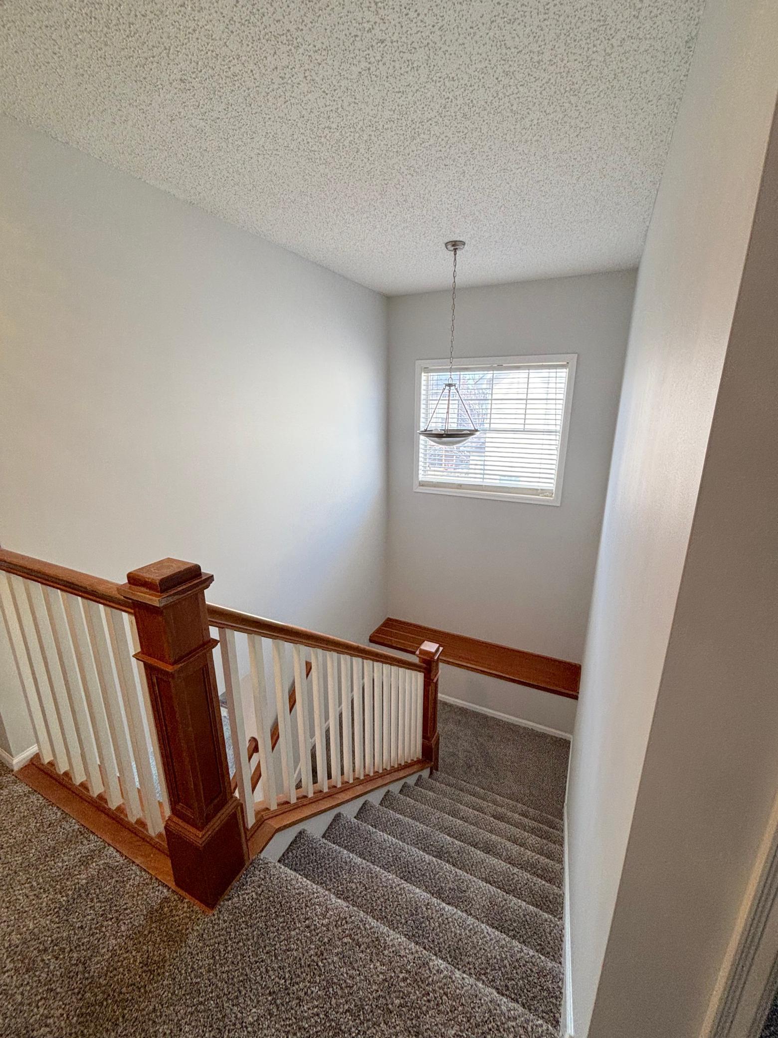 Photo Apr 07 2026, 3 19 59 PM.jpg