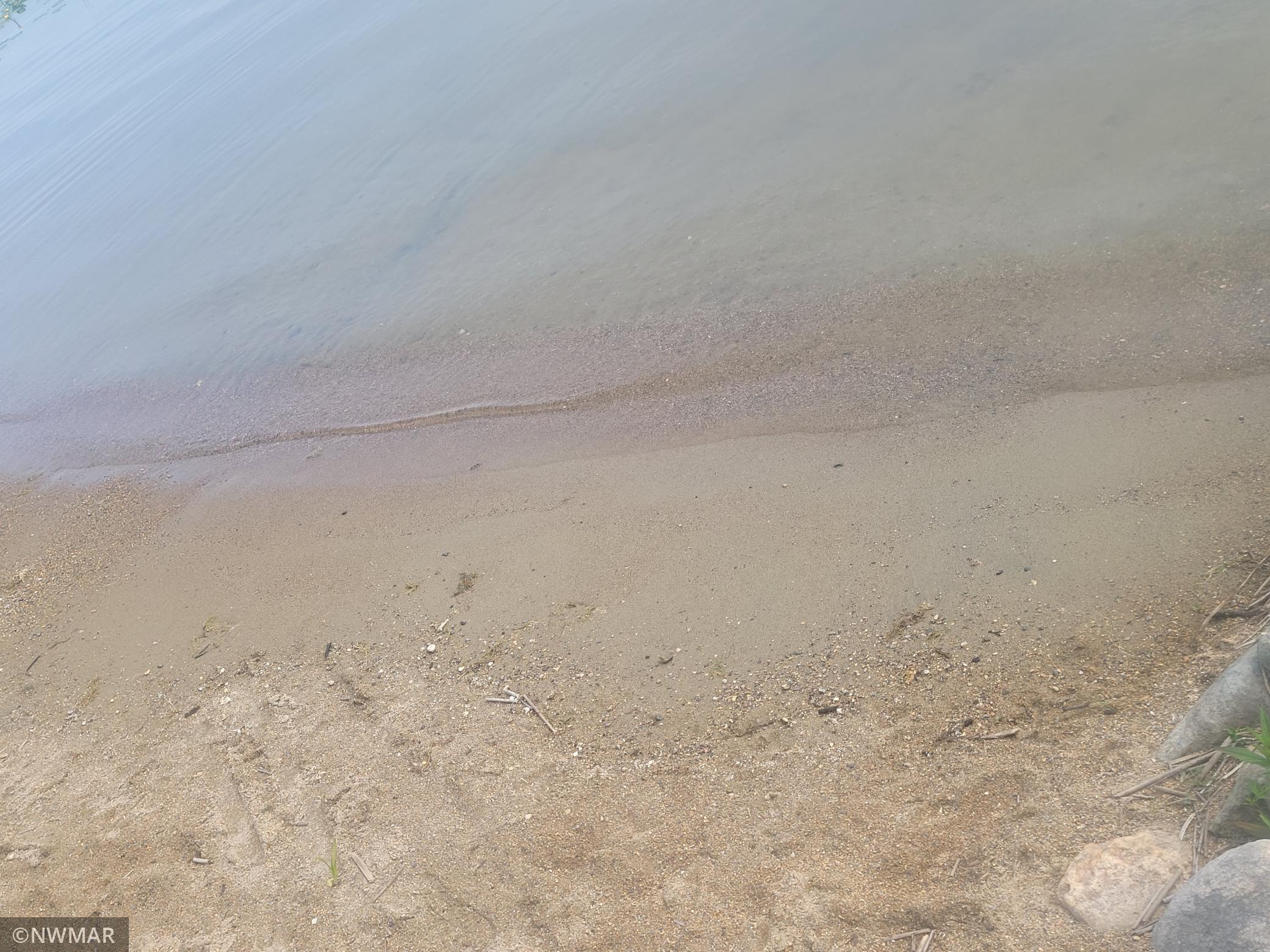 Shared Sandy Beach