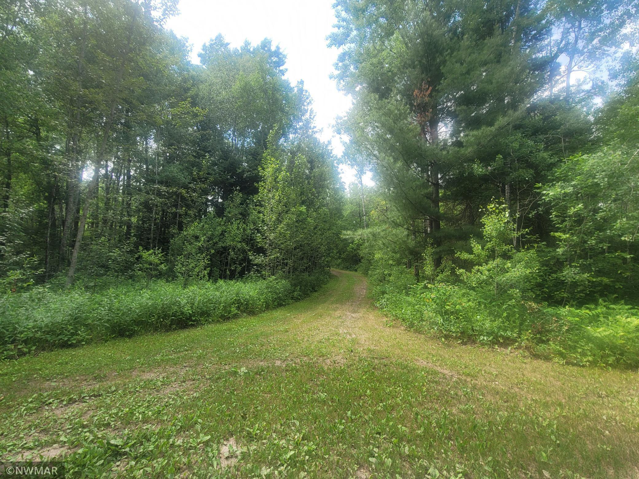 Trail