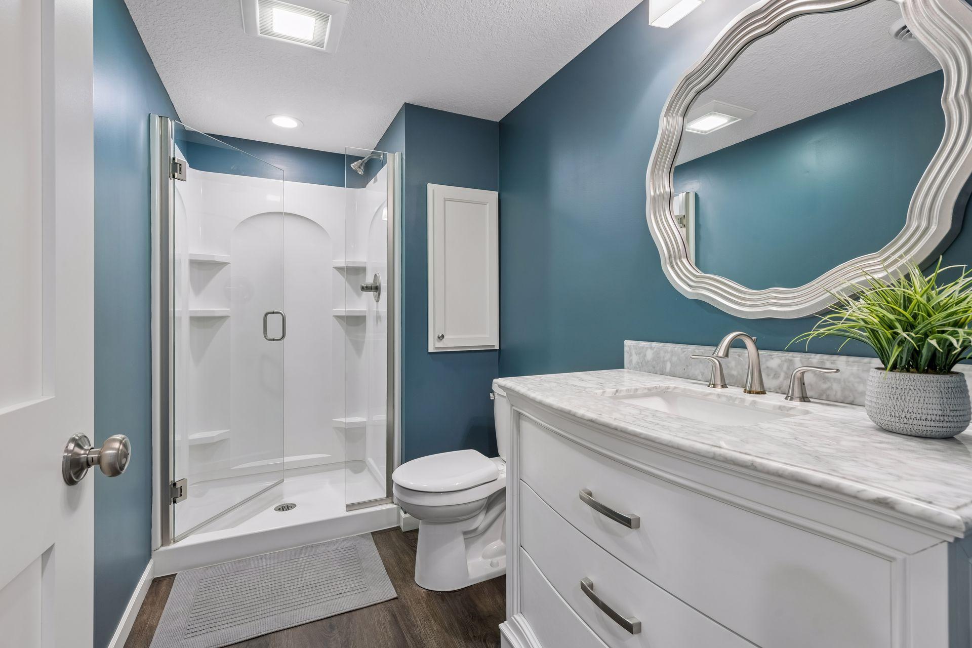 Lower level bathroom