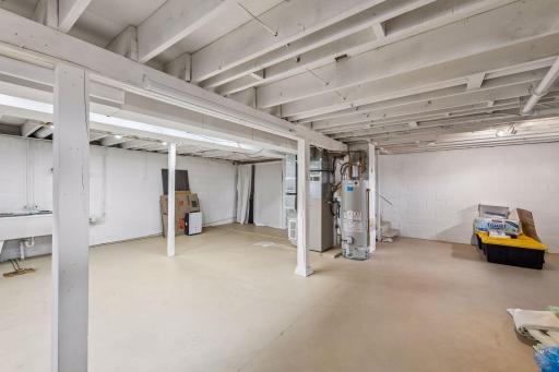 317 E 1st Street, Waconia, MN 55387