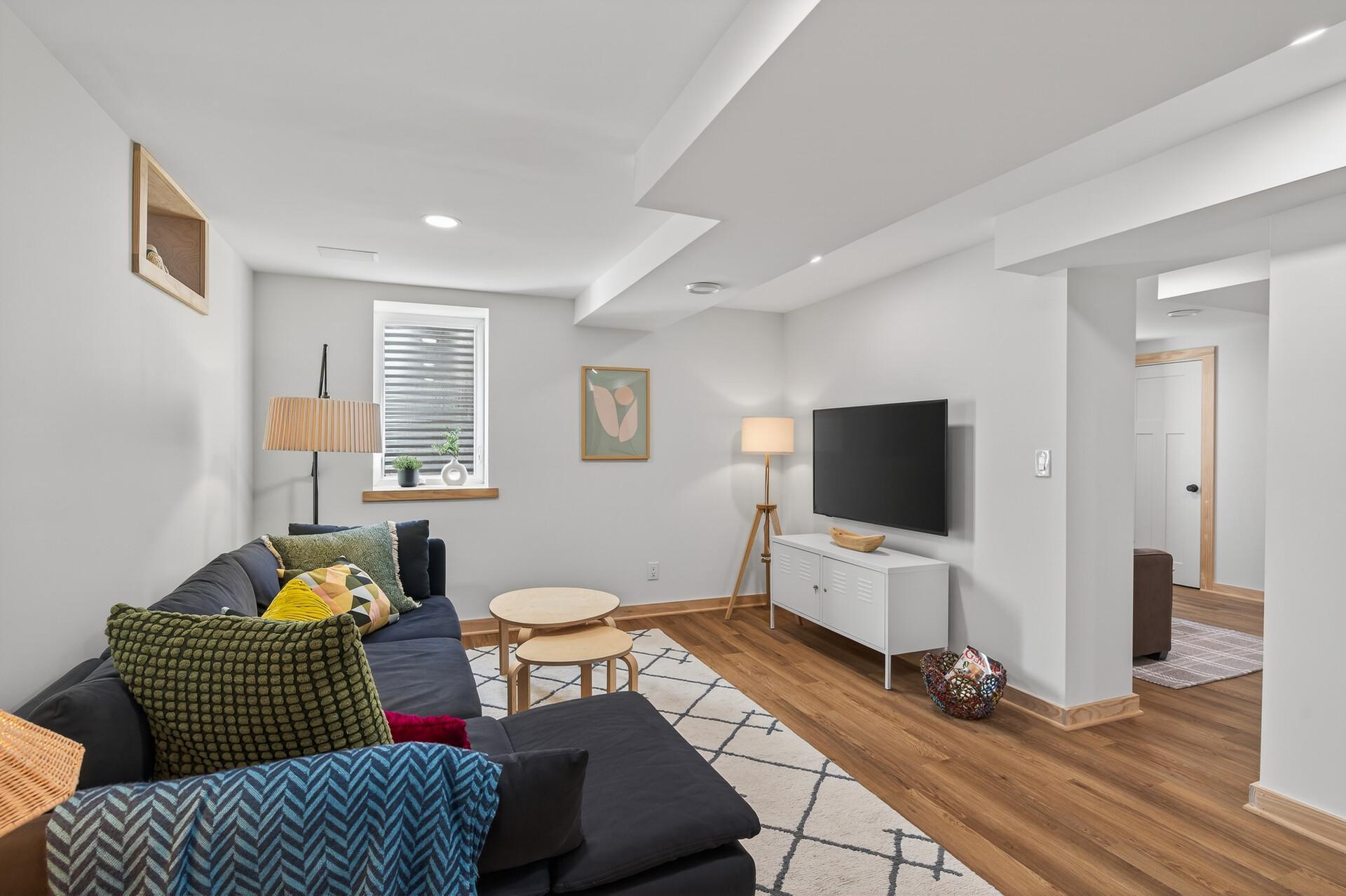 Lower Level Family Room