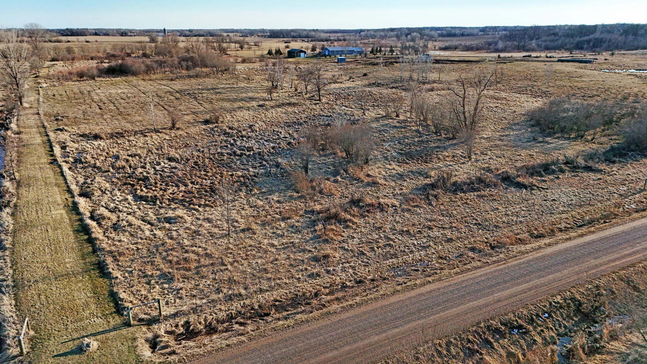 Brushy wetter portion of subject property located in its NW corner.