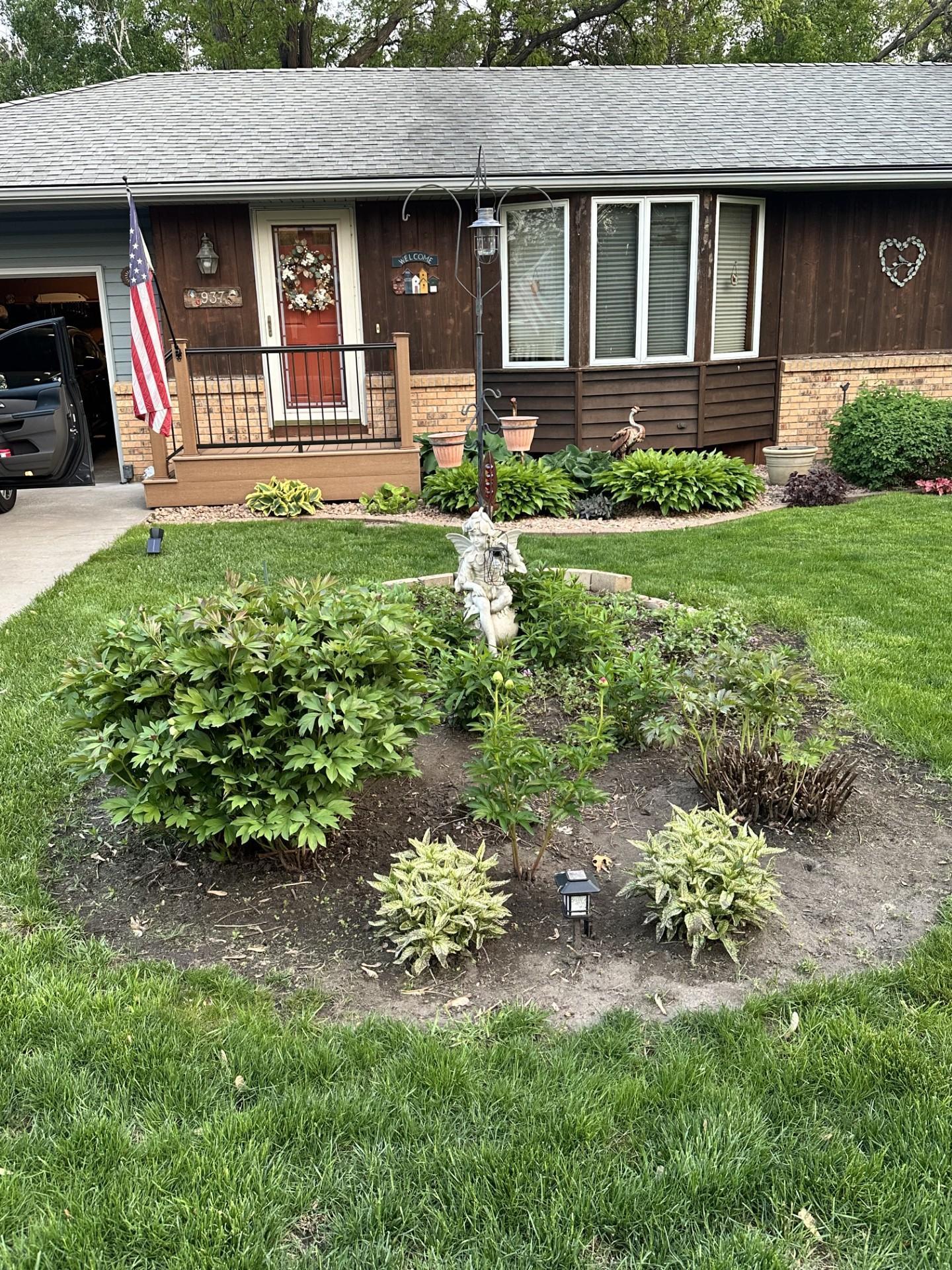 Flower beds in bloom