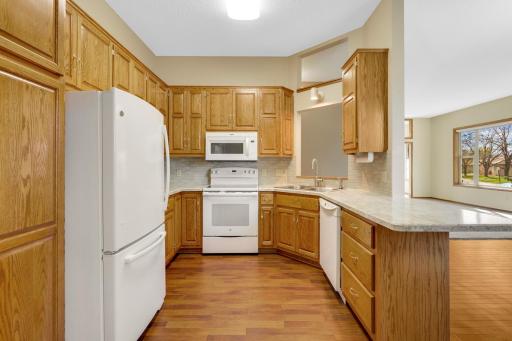 15187 Everleigh Circle, Rosemount, MN 55068