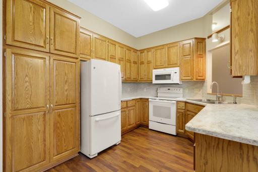 15187 Everleigh Circle, Rosemount, MN 55068