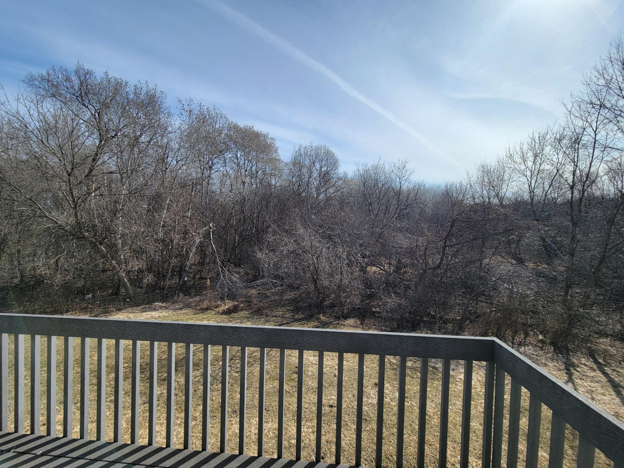 enjoy the wild life from the deck