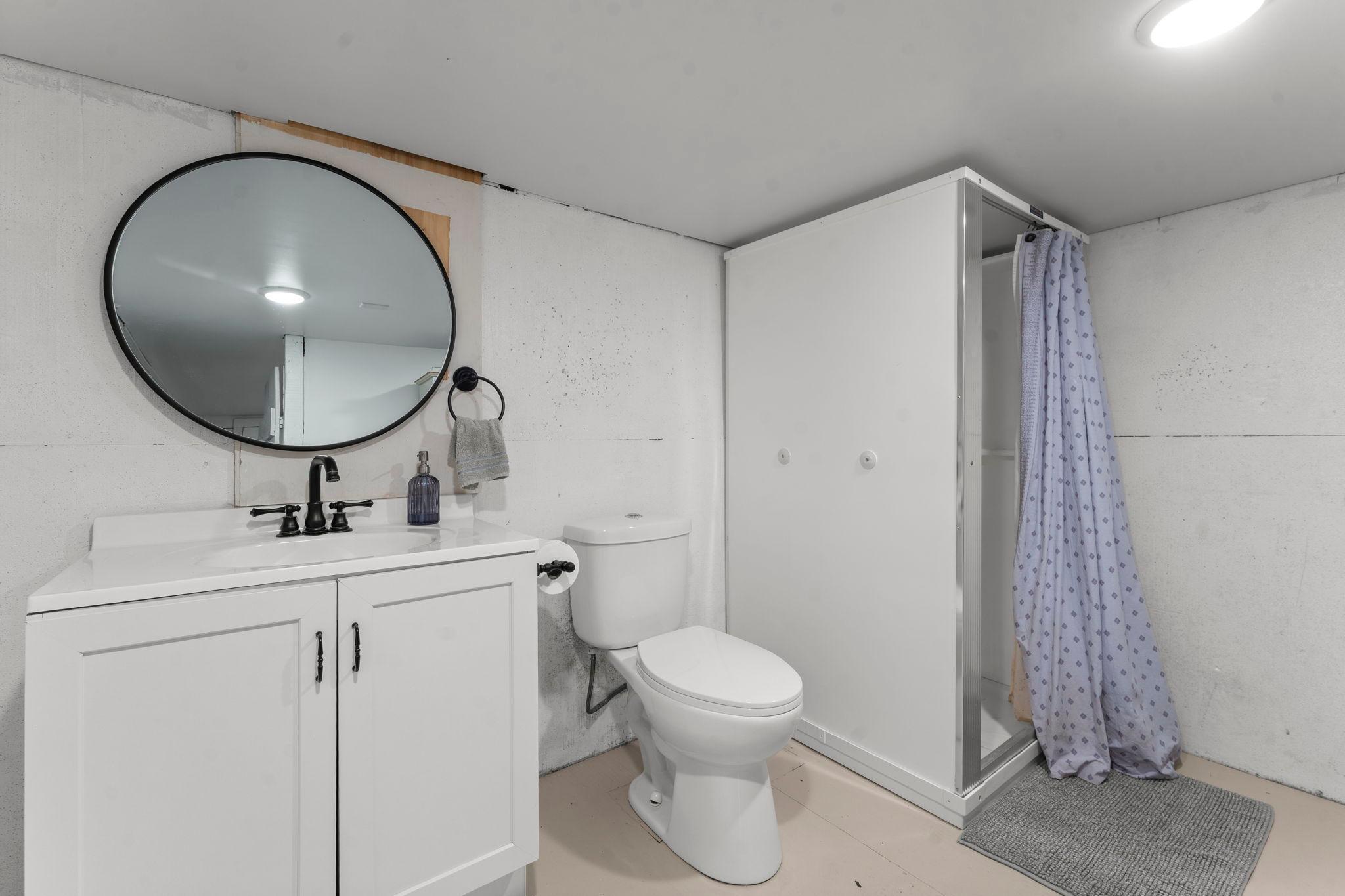 Lower level bathroom