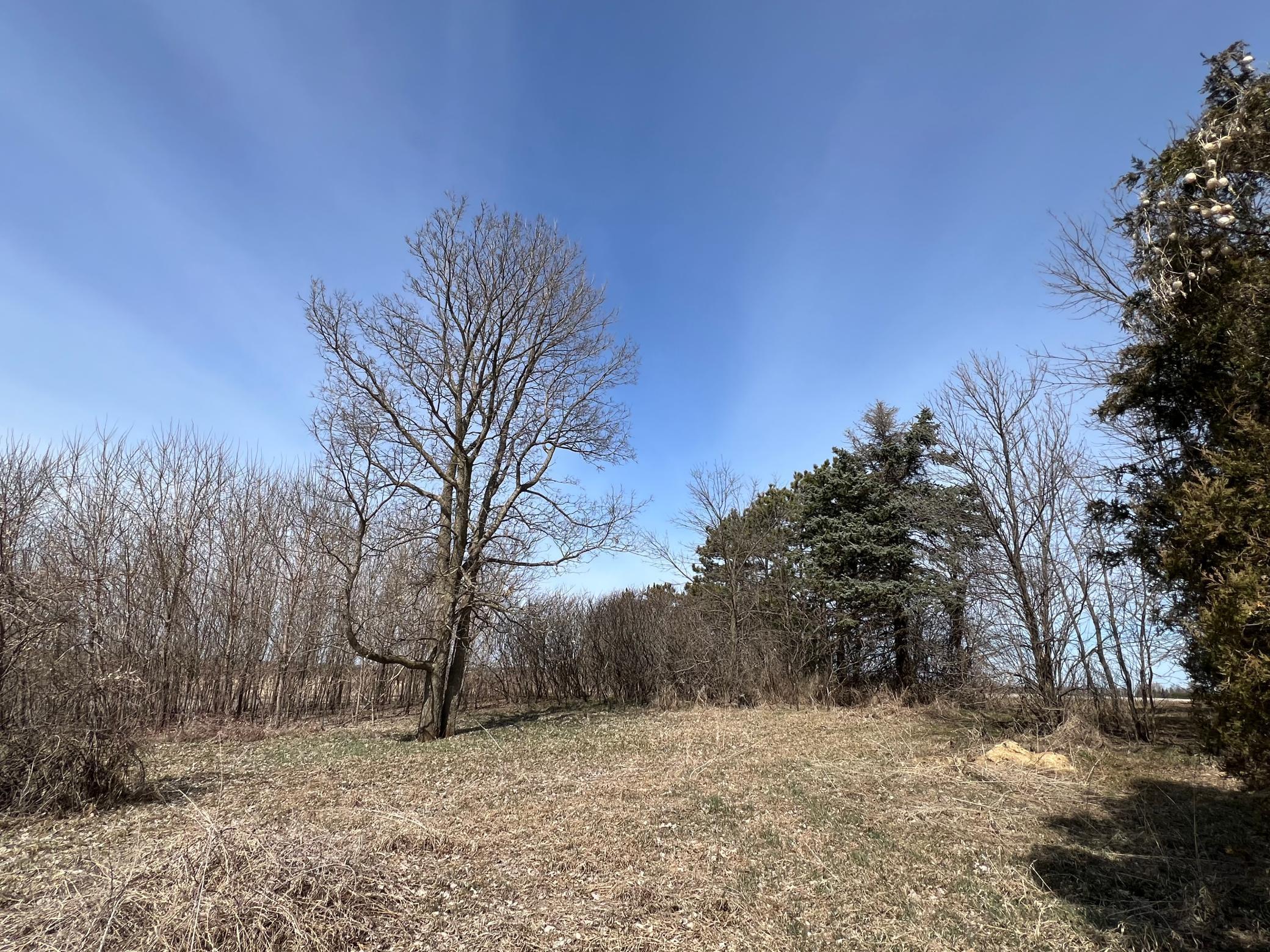 Nice clearing on the property