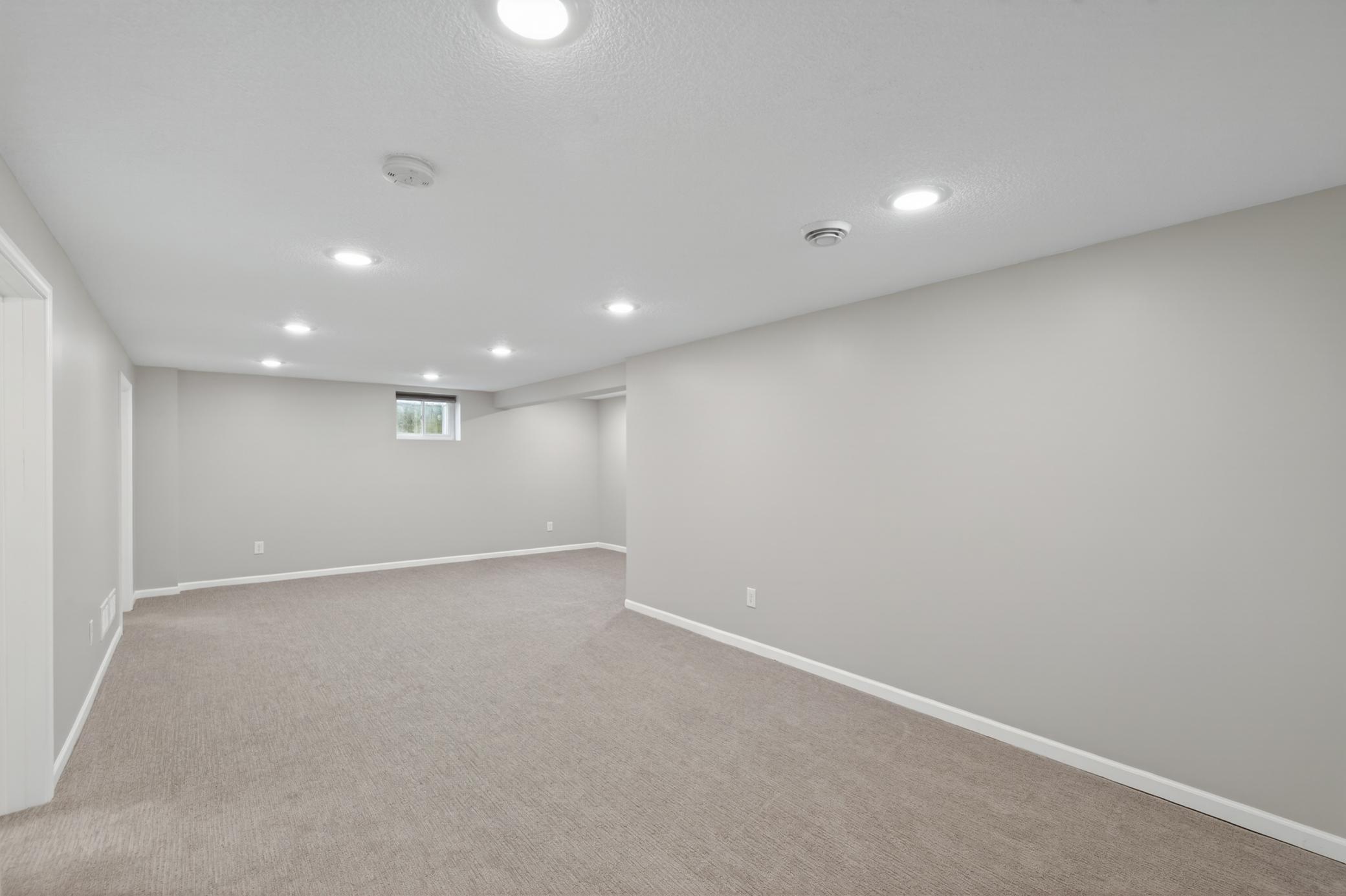 Expansive finished lower level offers plenty of possibilities.