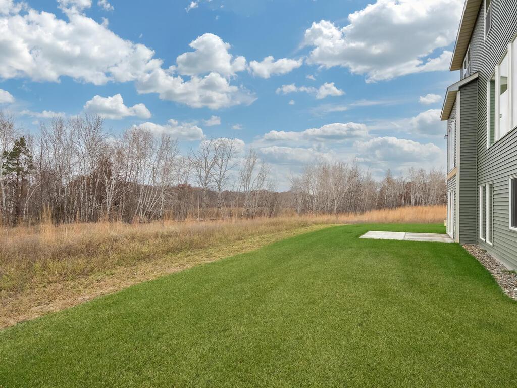 20648 Tamarack St NW Oak Grove MN 55011 USA-003-001-Back Yard-MLS_Size.jpg
