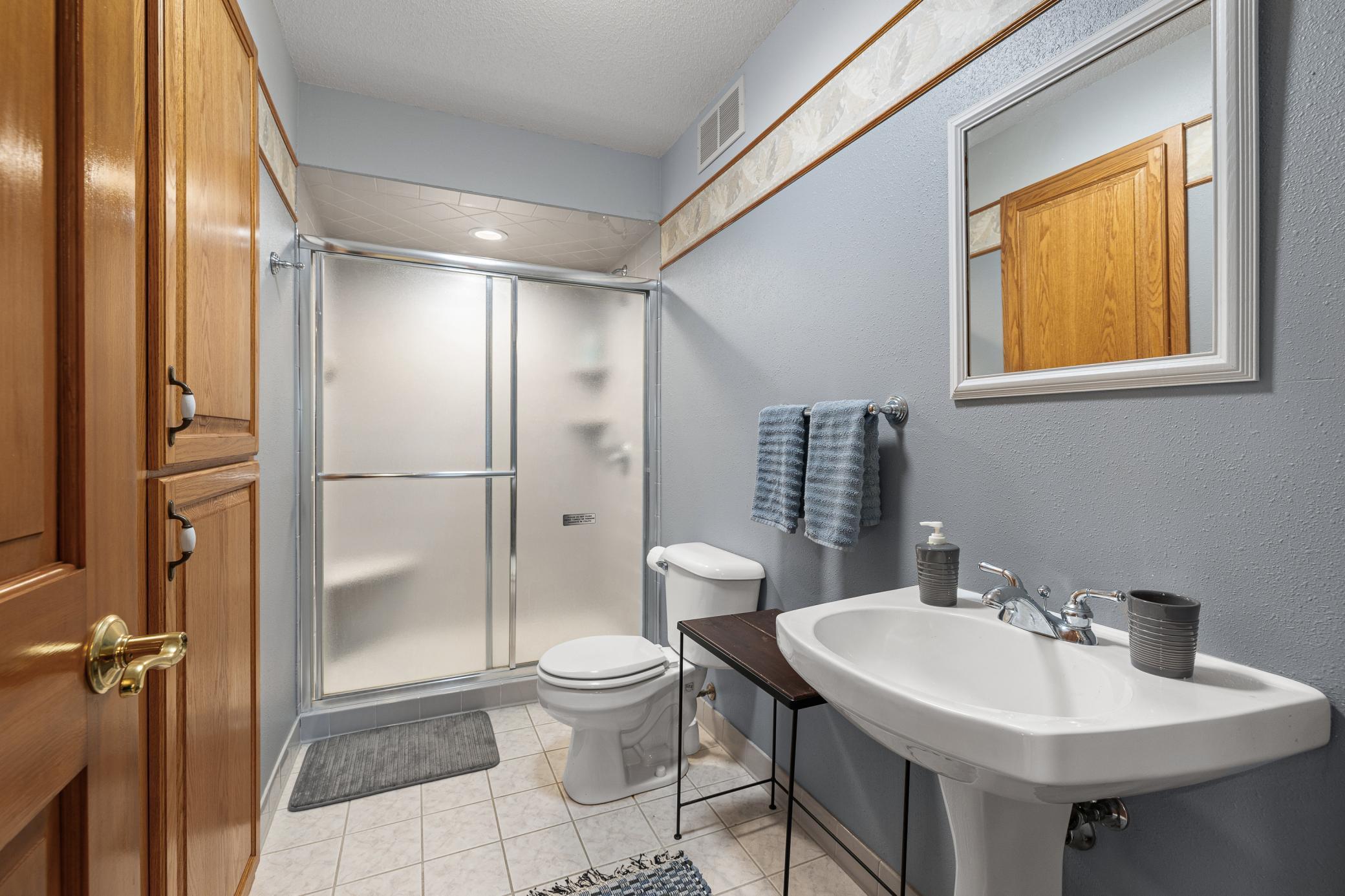 Lower Level 3/4 Bathroom