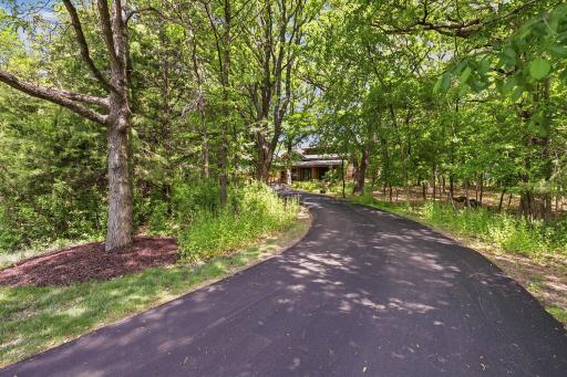 Private, tree-lined cedar deck creates the perfect setting for outdoor dining, entertaining, or simply enjoying the peaceful natural surroundings.