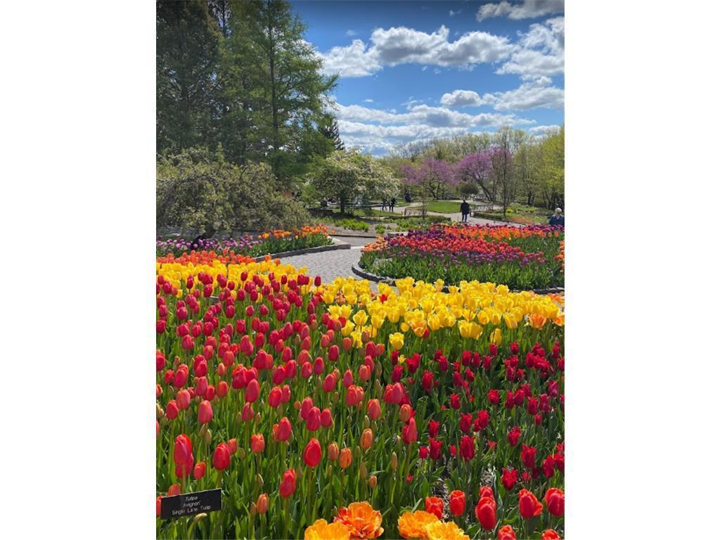 Landscape Arboretum - Just a hop skip and a jump away. Enjoy the myriad of trails and foliage to explore.