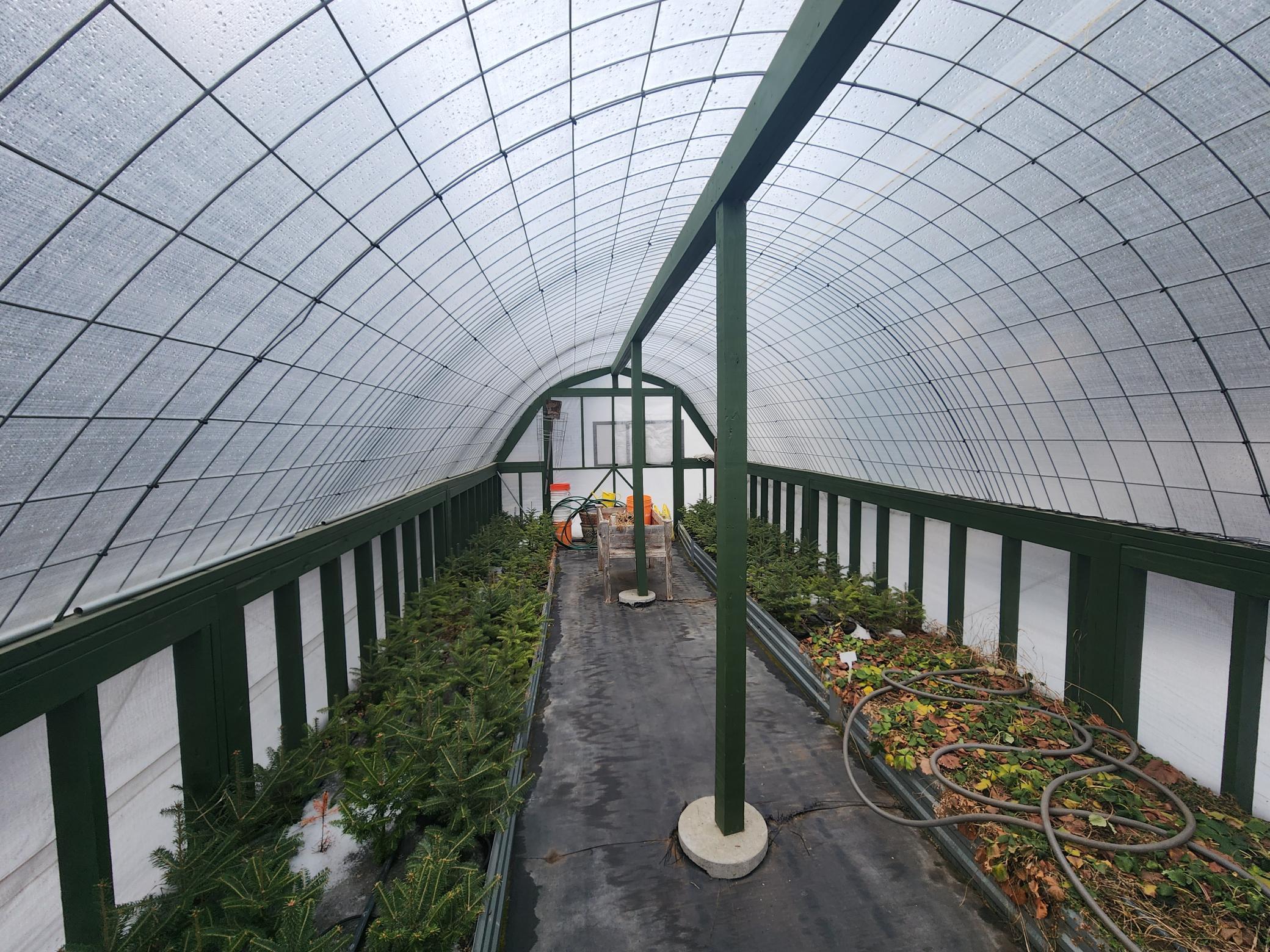 Greenhouse 16x20' with water, and Fraiser Fir Christmas trees