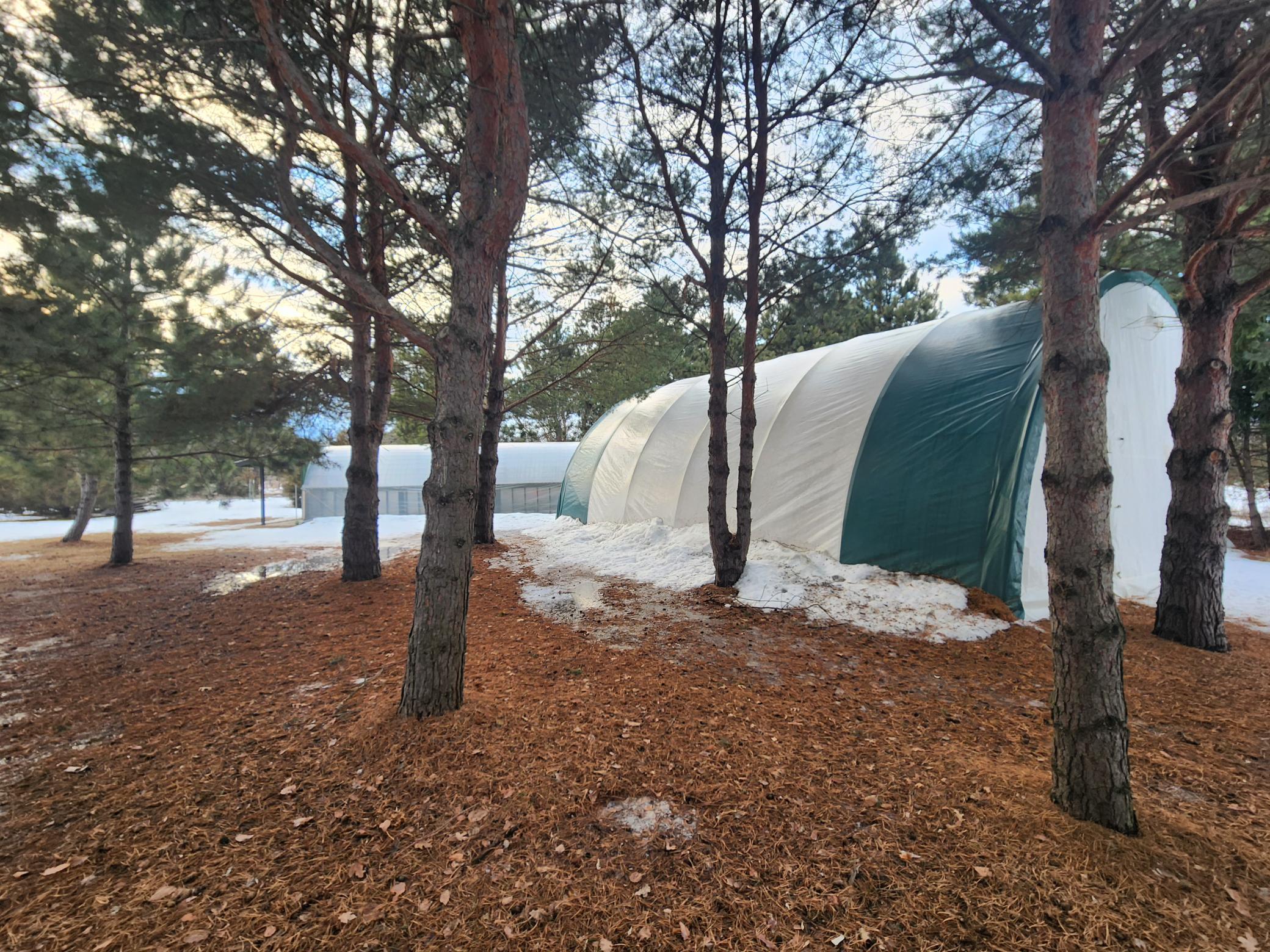 Quonset hut for added vehicle storage
