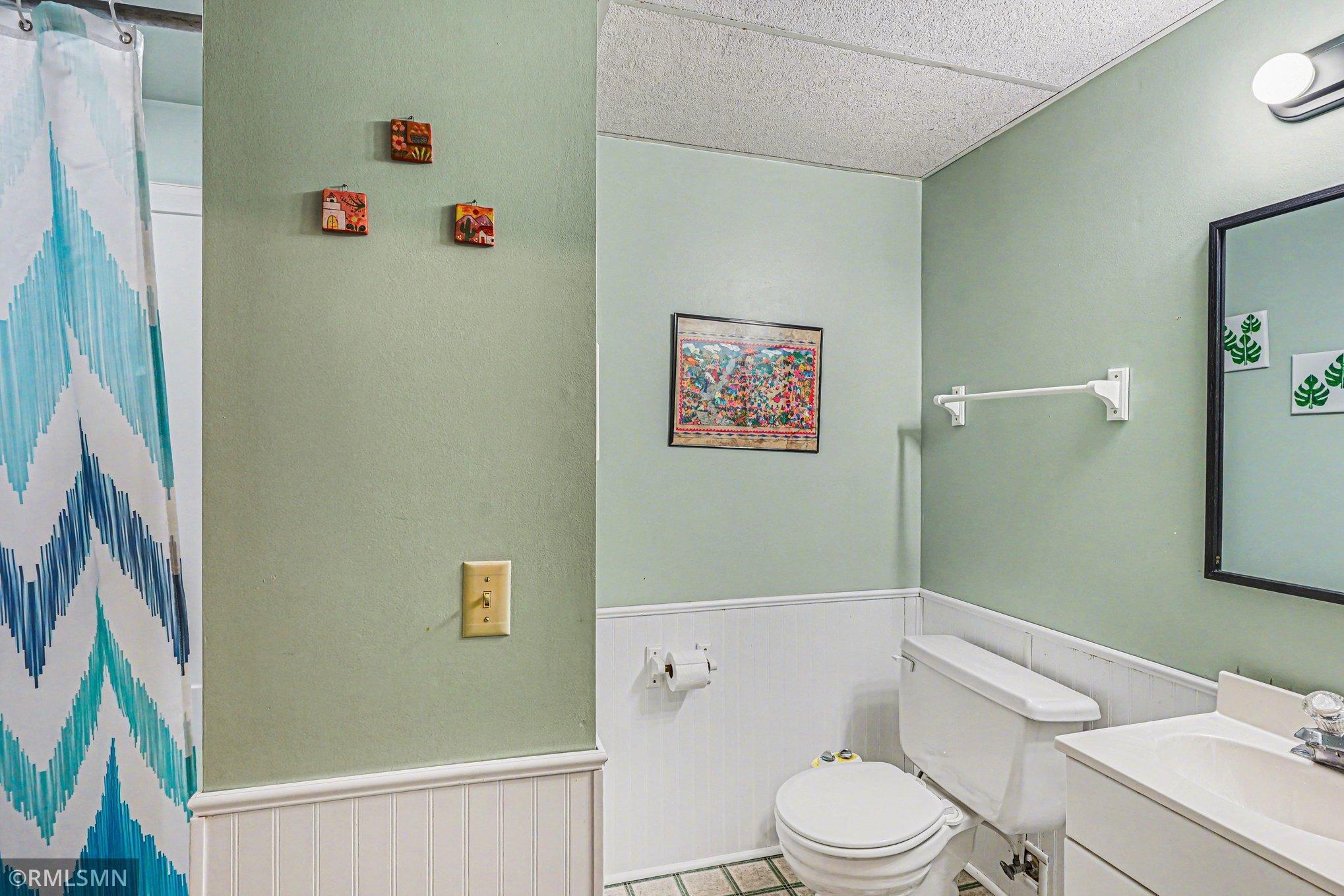 Lower Level Bath.jpg