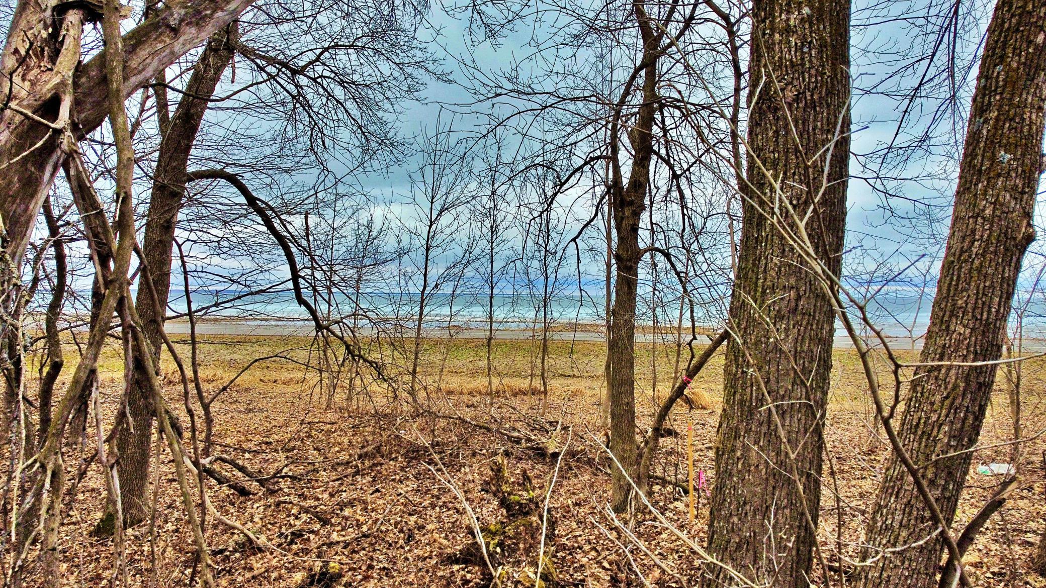 Shoreline view of Mille Lacs Lake 2.jpg