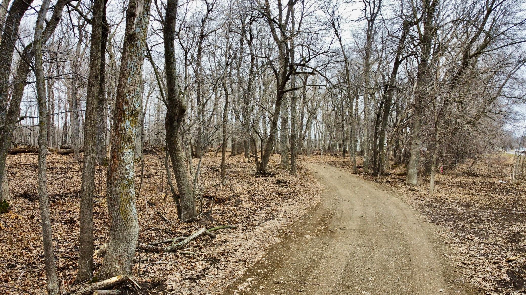 Easement Access Road 1.jpg