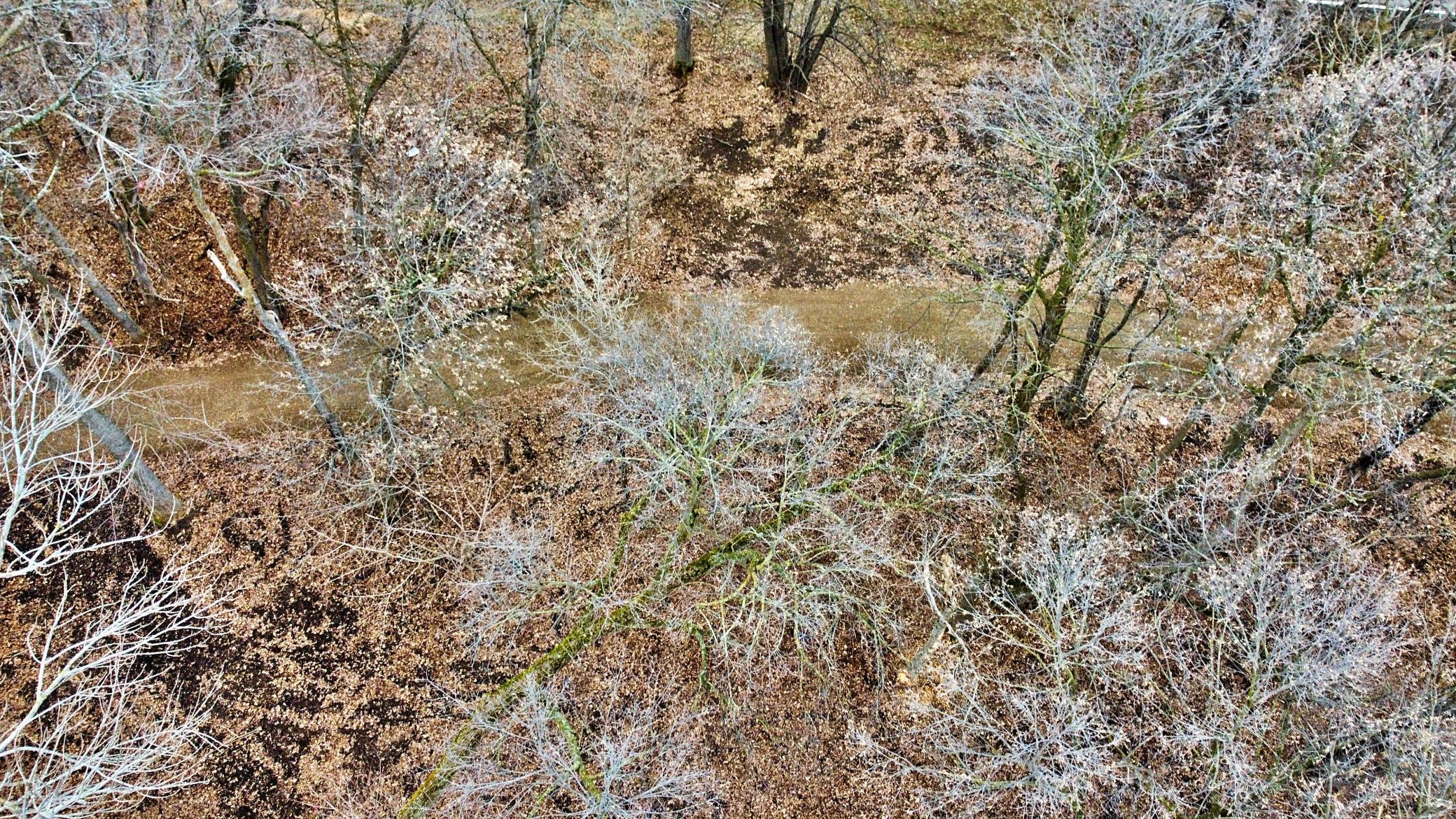 Aerial View over Tract.jpg