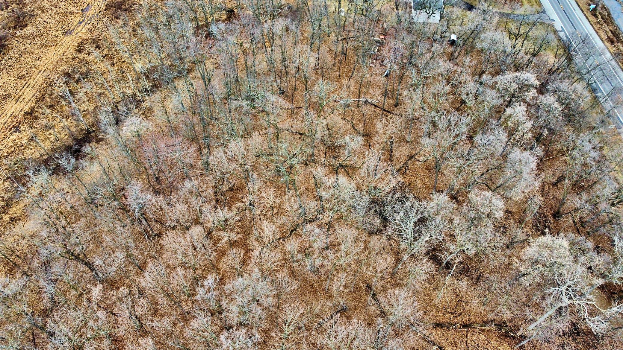 Aerial View over Tract 1.jpg